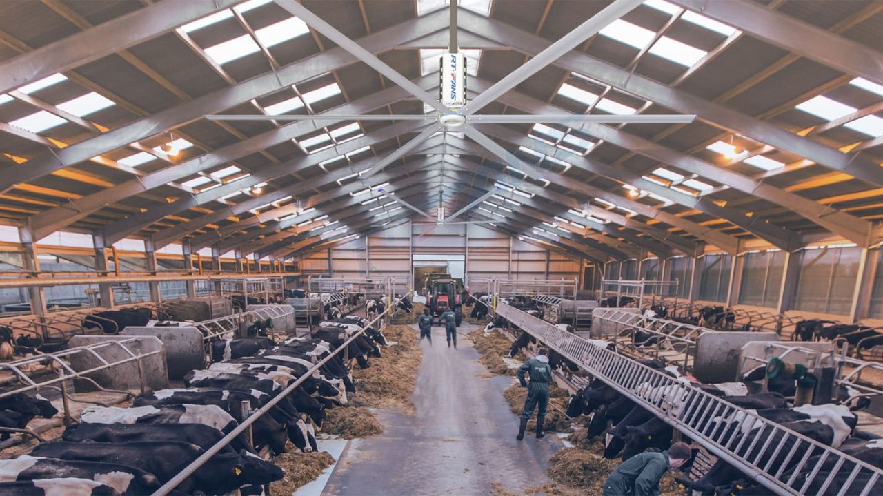 Big Ceiling Fans For Cattle Horse Barns 005 - RTFANS